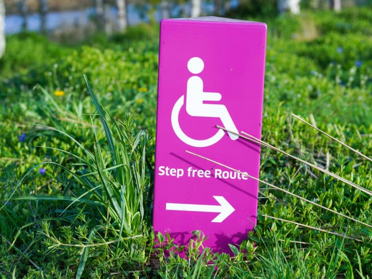 A bright pink wheelchair-access sign partly hidden in tall grass.